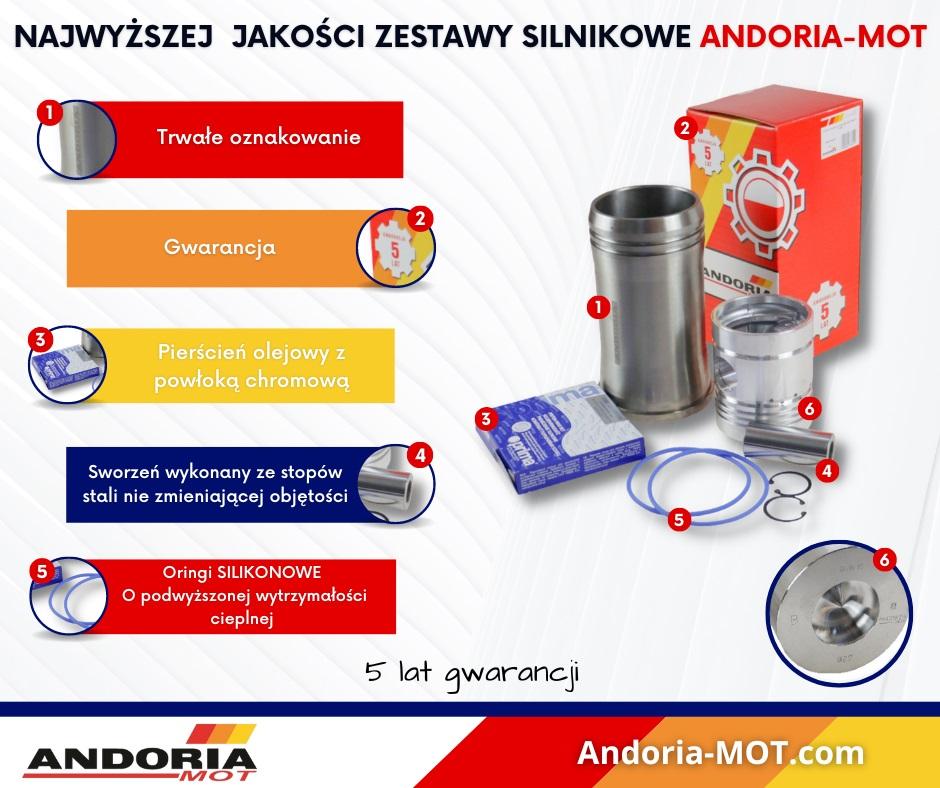 Zestaw Naprawczy Silnika 102 3-Pierścieniowy Komora 55 71010303 Zetor - zdjęcie 4
