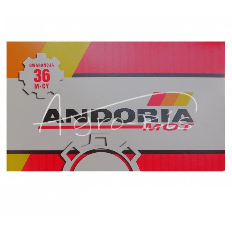 Rozpylacz Do Silnika Dsl160s430-1436 930558 Zetor Andoria - zdjęcie 6