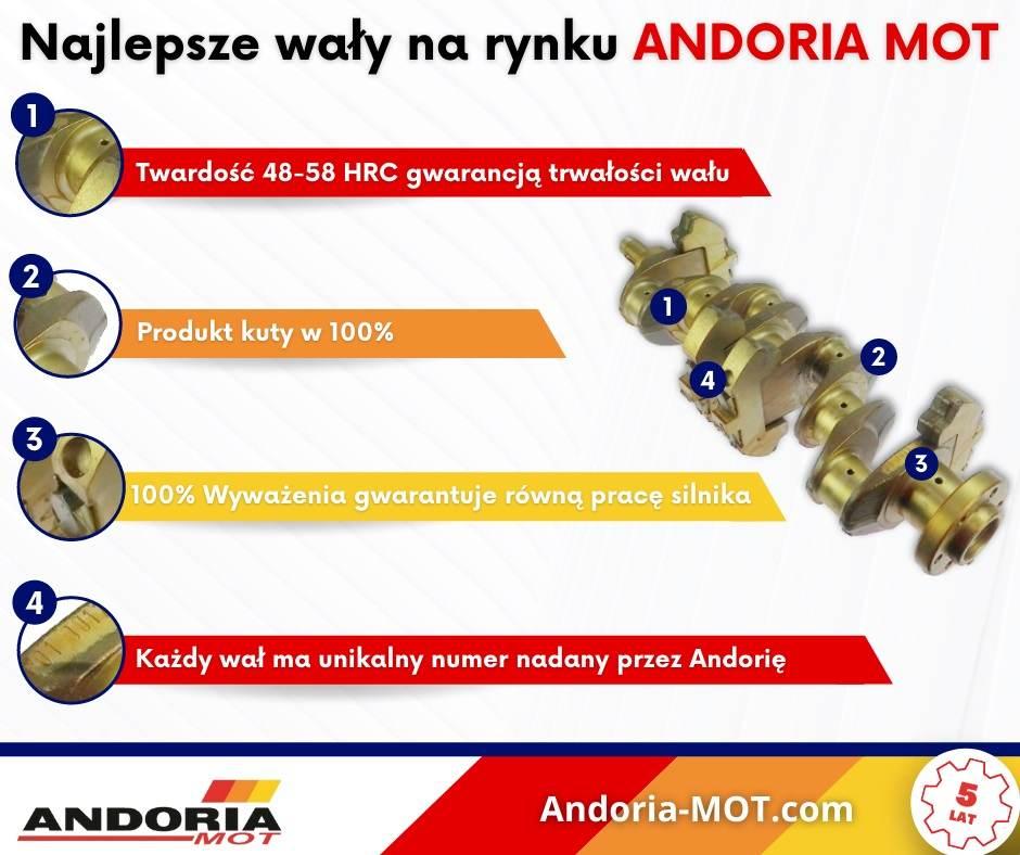 Wał Korbowy 3132002k91 Mf3 Andoria | 3134001KAM